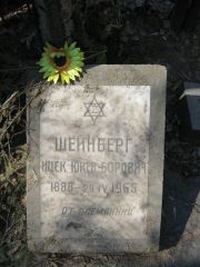 Шейнберг Ицек Юкев-Борович, Москва, Востряковское кладбище