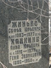 Жинько Софья Юрьевна, Москва, Востряковское кладбище