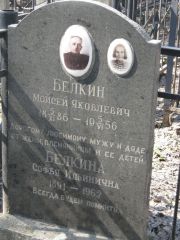 Белкин Моисей Яковлевич, Москва, Востряковское кладбище