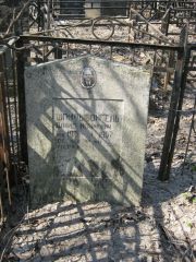 Шпильфойгель Давид Исаакович, Москва, Востряковское кладбище