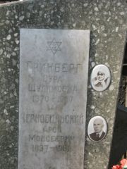 Гринберг Сура Шулимовна, Москва, Востряковское кладбище