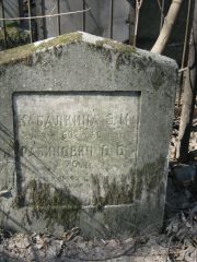 Рабинович В. Б., Москва, Востряковское кладбище