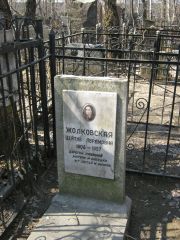 Жолковская Цейтль Абрамовна, Москва, Востряковское кладбище