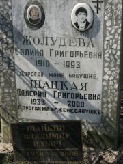 Шацкий Владимир Ильич, Москва, Востряковское кладбище
