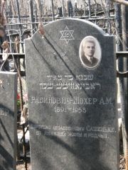 Рабинович-Шохер А. М., Москва, Востряковское кладбище