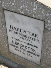 Наперстак Арон Моисеевич, Москва, Востряковское кладбище