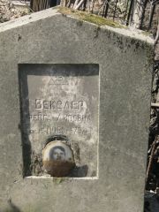 Векслер Фейга Липовна, Москва, Востряковское кладбище
