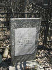 Грингауз Песя Гилелевна, Москва, Востряковское кладбище