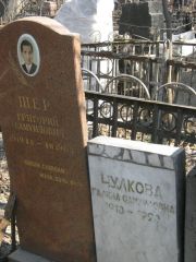 Шер Григорий Самуилович, Москва, Востряковское кладбище