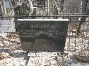 Брагинский Вульф Исаакович, Москва, Востряковское кладбище