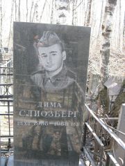 Слиозберг Дима , Москва, Востряковское кладбище