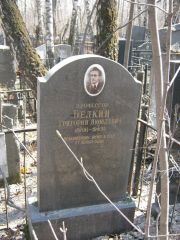 Белкин Григорий Яковлевич, Москва, Востряковское кладбище