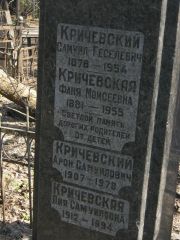 Кричевский Самуил Геселевич, Москва, Востряковское кладбище
