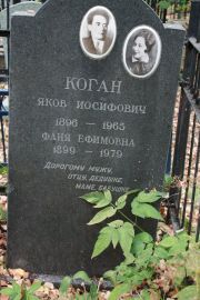 Коган Фаня Ефимовна, Москва, Востряковское кладбище