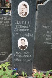 Плисс Зиновий Аронович, Москва, Востряковское кладбище
