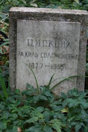 Ципкна Рахиль Соломоновна, Москва, Востряковское кладбище