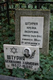 Штурня Бениамин Хаймович, Москва, Востряковское кладбище