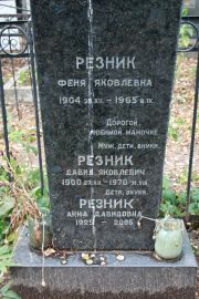 Резник Давид Яковлевич, Москва, Востряковское кладбище