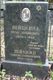 Вейцкина Роза Ароновна, Москва, Востряковское кладбище