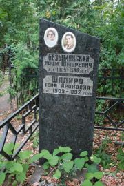 Шапиро Геня Ароновна, Москва, Востряковское кладбище