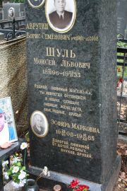 Шуль Моисей Львович, Москва, Востряковское кладбище
