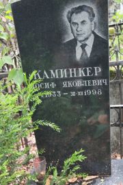 Каминкер Иосиф Яковлевич, Москва, Востряковское кладбище