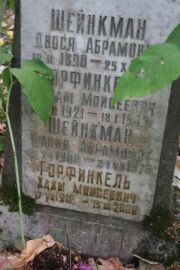 Шейнкман Давид Абрамович, Москва, Востряковское кладбище
