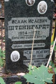 Штейнгардт Исаак Исаевич, Москва, Востряковское кладбище