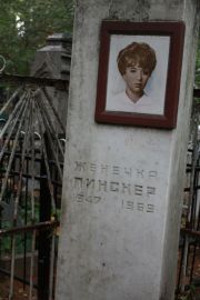 Пинскер Женечка , Москва, Востряковское кладбище