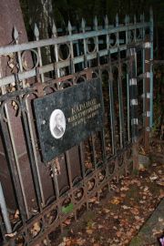 Каганов Илья Григорьевич, Москва, Востряковское кладбище