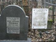Левин Берко Шлемович, Москва, Востряковское кладбище
