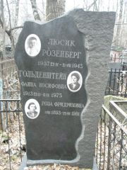 Розенберг Люсик , Москва, Востряковское кладбище