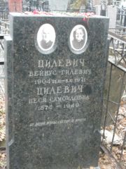 Цилевич Бейнус Гилевич, Москва, Востряковское кладбище