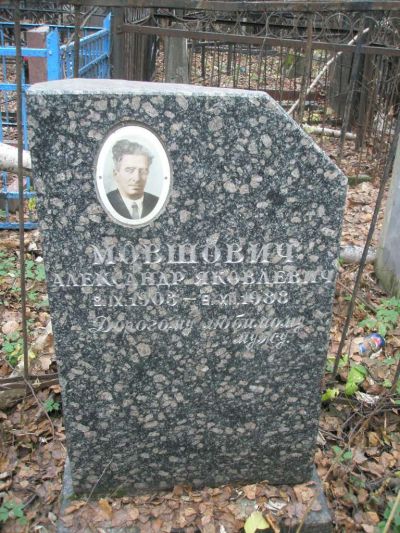 Мовшович Александр Яковлевич