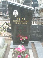 Коган Евгений Аронович, Москва, Востряковское кладбище