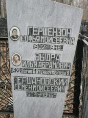 Гершензон Софья Моисеевна, Москва, Востряковское кладбище