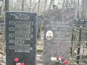 Шейнкар Иосиф Борисович, Москва, Востряковское кладбище