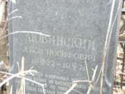 Любинский Яков Иосифович, Москва, Востряковское кладбище