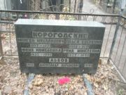 Когородская Феня Моисеевна, Москва, Востряковское кладбище