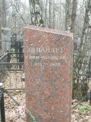 Шнайдер Ефим Абрамович, Москва, Востряковское кладбище