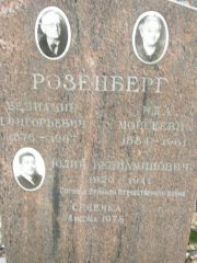 Розенберг Вениамин Григорьевич, Москва, Востряковское кладбище