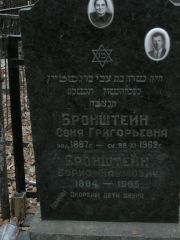 Бронштейн Соня Григорьевна, Москва, Востряковское кладбище