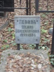 Левина Шейнэ Бенциановна, Москва, Востряковское кладбище