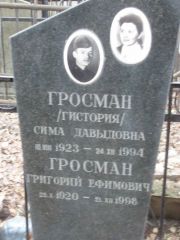 Гросман-Гистория Сима Давыдовна, Москва, Востряковское кладбище