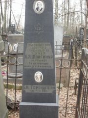 Шпигинур Б. Я., Москва, Востряковское кладбище
