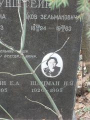 Шацман Н. Я., Москва, Востряковское кладбище