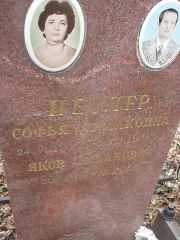 Цеслер Софья Исааковна, Москва, Востряковское кладбище
