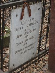 Цеслер Исаак Шлемович, Москва, Востряковское кладбище