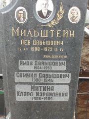 Мильштейн Лев Давыдович, Москва, Востряковское кладбище