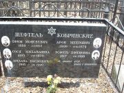 Кобринский Арон Меерович, Москва, Востряковское кладбище